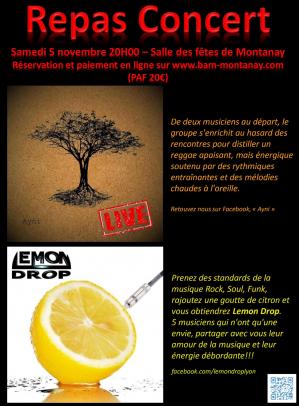 Affiche soiree bam 5 11 2016